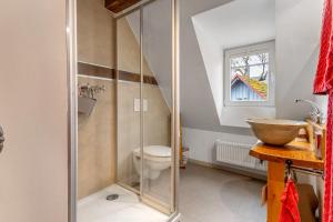 a bathroom with a shower with a toilet and a sink at Stub'n Rettl in Waischenfeld +7 photos