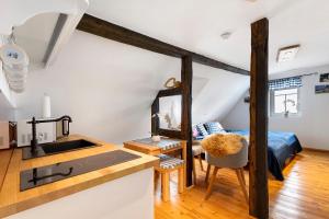 a kitchen and living room with a bed and a sink at Stub'n Rettl in Waischenfeld