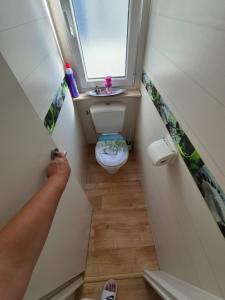 a person standing in a bathroom with a toilet at Chalet Strandliebe Bredene in Bredene +10 photos