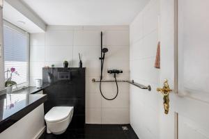 a bathroom with a toilet and a shower at Ferienwohnung auf dem Wald 6 Pers in Görwihl +22 photos