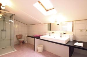 a bathroom with a sink and a shower and a toilet at La Gourmantine in Polignac