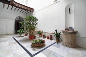 a courtyard with potted plants in a building at Piso con Encanto in Cádiz