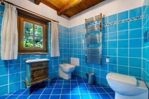 a blue tiled bathroom with a toilet and a window at Le Chalet du Coq Rouge in Valtournenche