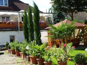 a row of potted plants in front of a house at Apartment Mengelberg in Markkleeberg