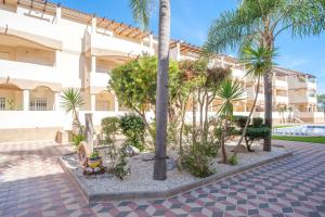 a courtyard with palm trees in front of a building at Playasol in Vinarós