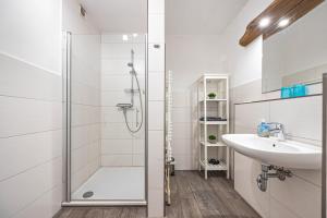 a bathroom with a shower and a sink at Ferien Im Vierth in Buchholz +49 photos