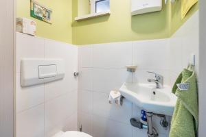 a bathroom with a sink and a toilet at Chalet Kunterbunt in Langenwetzendorf +14 photos