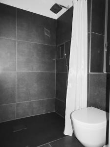 a bathroom with a shower with a toilet and a tub at Alte Tischlerei Engelsbach in Georgenthal +6 photos