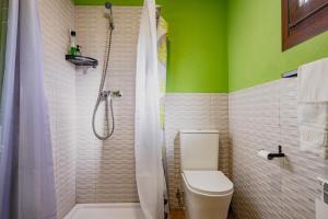 a bathroom with a toilet and a green wall at Picuastur in Cangas de Onís +37 photos