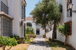 an alley between two buildings with a tree in the middle at Apartamento M 1 in Torrox Costa
