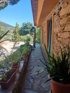 a stone walkway next to a building with potted plants at Casa de Canelas - Refugio Terroir in Açoreira