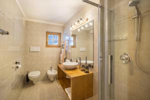 a bathroom with a sink and a toilet and a shower at Mountain Residence Kasern Nr 2 in Predoi
