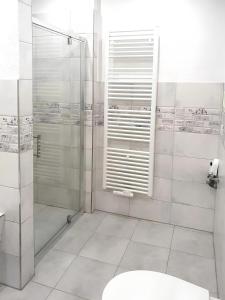a white bathroom with a shower and a toilet at Geräumige moderne 3 Raumwohnung in Dohna +12 photos