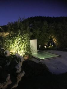 a pool in the middle of a yard at night at Ferienwohnung Am Holing in Bischoffen