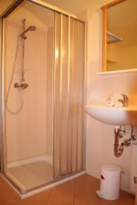 a bathroom with a shower and a sink at Jörgs Ferienwohnung Lohmen in Lohmen