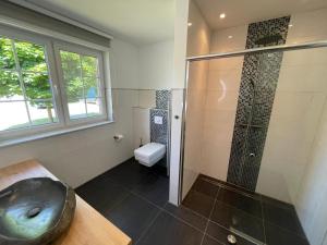 a bathroom with a shower with a sink and a toilet at Ferienhaus Rechlin in Rechlin +20 photos