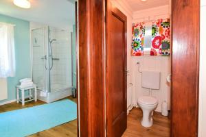 a bathroom with a toilet and a shower at Villa Kunterbunt in Lindau +34 photos
