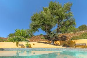 a swimming pool with a tree next to a wall at Selão da Eira Velha in São Teotónio +17 photos