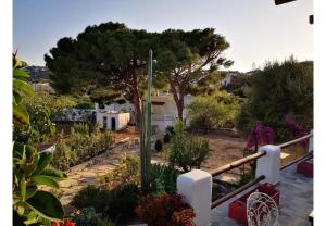 a view of a garden with trees and plants at Villa Two Pine Trees in Alinda