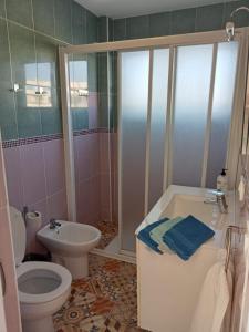 a bathroom with a toilet and a shower and a sink at Loft Molinos Corner in San Bartolomé +8 photos