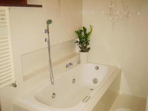 a bathroom with a tub with a potted plant in it at Apartment CASA SPIAGGIA by Interhome in Castelletto di Brenzone