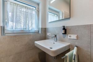 a bathroom with a sink and a mirror at Im Rosengarten 2 in Zell am Harmersbach +23 photos