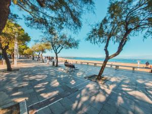 a park next to a beach with trees and a bench at Rayon de soleil Arcachon in Arcachon