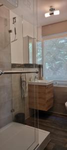 a bathroom with a glass shower and a sink at Ferienhaus Haffschatz in Ueckermünde +18 photos