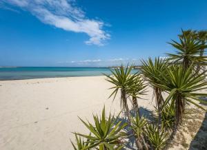 a group of palm trees sitting on a beach at Sabbia e Sorrisi Sea View in Porto Cesareo +17 photos