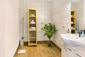 a bathroom with a sink and a potted plant at Ferienwohnung No 34A Malliß in Malliß +11 photos