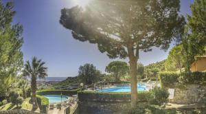 a resort with two pools and a tree at Villaggio Colombo V6 in Marina di Andora