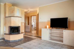 a living room with a fireplace and a flat screen tv at Habichtssicht in Buschvitz +4 photos