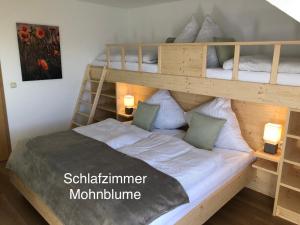 a bedroom with two bunk beds in a room at Ferienwohnung Immenberg in Dirlewang +37 photos