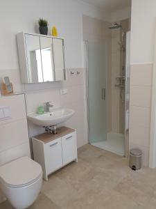 a bathroom with a toilet and a sink and a shower at Haus Seestern in Walchum +21 photos
