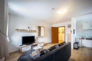 a living room with a couch and a flat screen tv at Erkheim in Erkheim