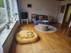 a living room with a couch and a dog bed at Haus am Goldberg in Tannheim
