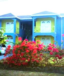 a blue house with red flowers in front of it at Cool Stay in Christ Church