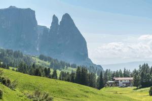 a house on a green hill with a mountain in the background at Sabina Dolomites Santner in Alpe di Siusi