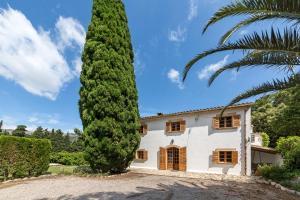 a large tree in front of a house at Villa La Plana in Pollença