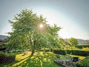 a tree in the middle of a park with chairs at Apartment Hirschen Erlinsbach by Interhome in Erlinsbach