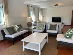 a living room with couches and a tv at Casa dos Pinheiros in Giz