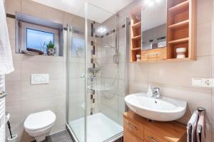 a bathroom with a shower and a toilet and a sink at Ferienwohnung Bergahorn in Todtnauberg +70 photos