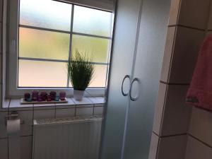 a bathroom with a window and a plant on a shelf at Ferienhaus Am Fulda Ufer in Rotenburg an der Fulda