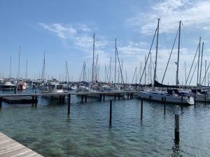 a group of boats docked at a dock in the water at Ferienwohnung Schmidt Haffkamp in Grömitz
