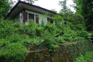 a house surrounded by bushes and trees at Kleines Landhaus in Herbstein