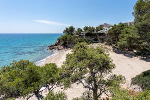 a sandy beach with trees and the ocean at Sonrisita in Miami Platja