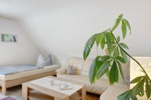 a living room with a couch and a plant at Ferienwohnung Honacker in Steißlingen