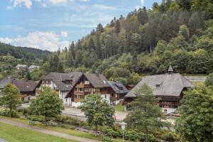 an aerial view of a resort in the mountains at Am Wehrastrand App Eg in Todtmoos