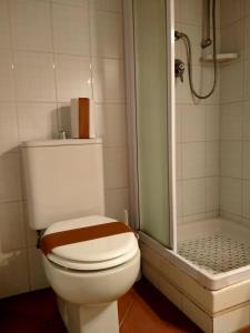 a bathroom with a toilet and a shower at Casa Annamaria in Arcola +31 photos