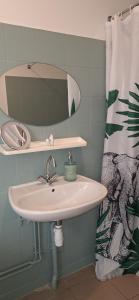a bathroom with a sink and a mirror at Studio du Meslay - Fyé in Fyé +17 photos